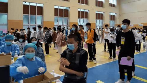 平乡事件爆料最新消息,真相逐步浮出水面，官方回应引关注  第3张